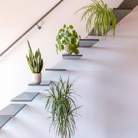 Apartment Huswell - Beautiful High Quality Duplex